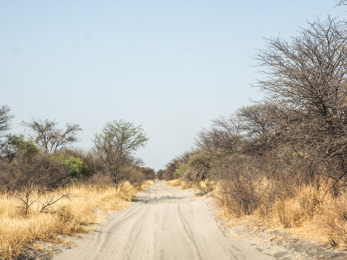 Kalahari, Botswana