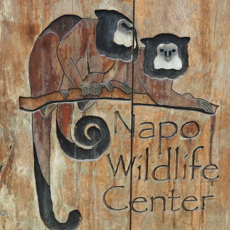 Napo Wildlife Center