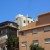 Rothschild Boulevard in Tel Aviv
