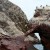 Islas Ballestas/ Paracas, Peru