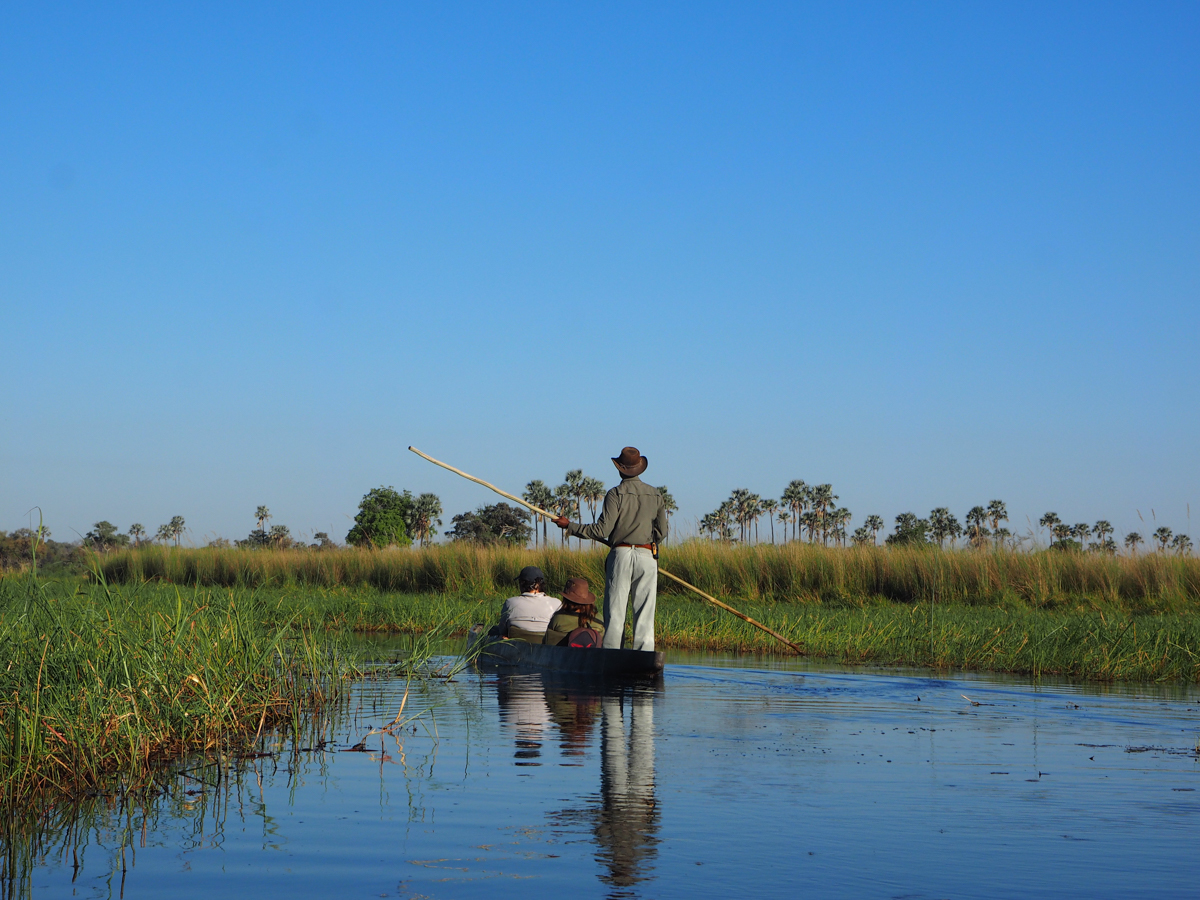 mit dem Mokoro durch das Okavango Delta