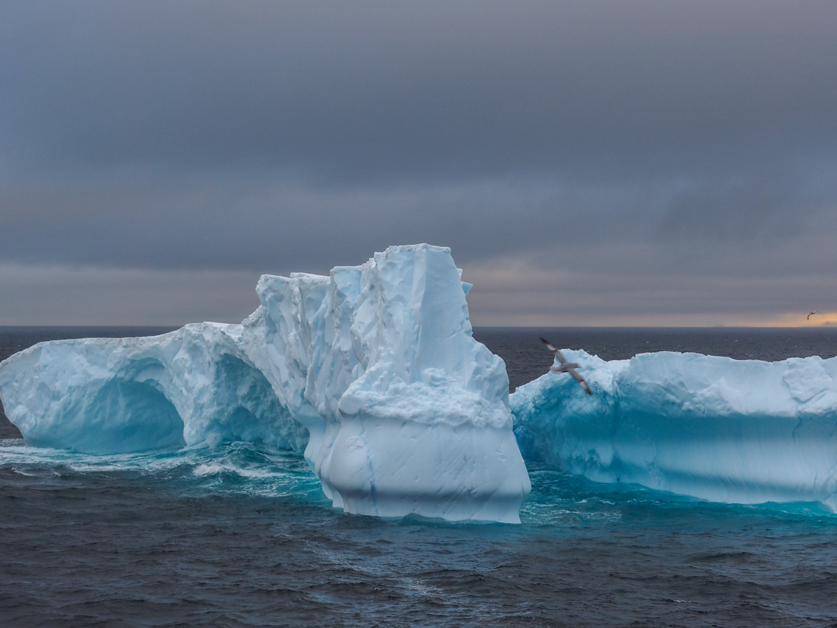 Eisberge bei Half Moon Island, Antarktis